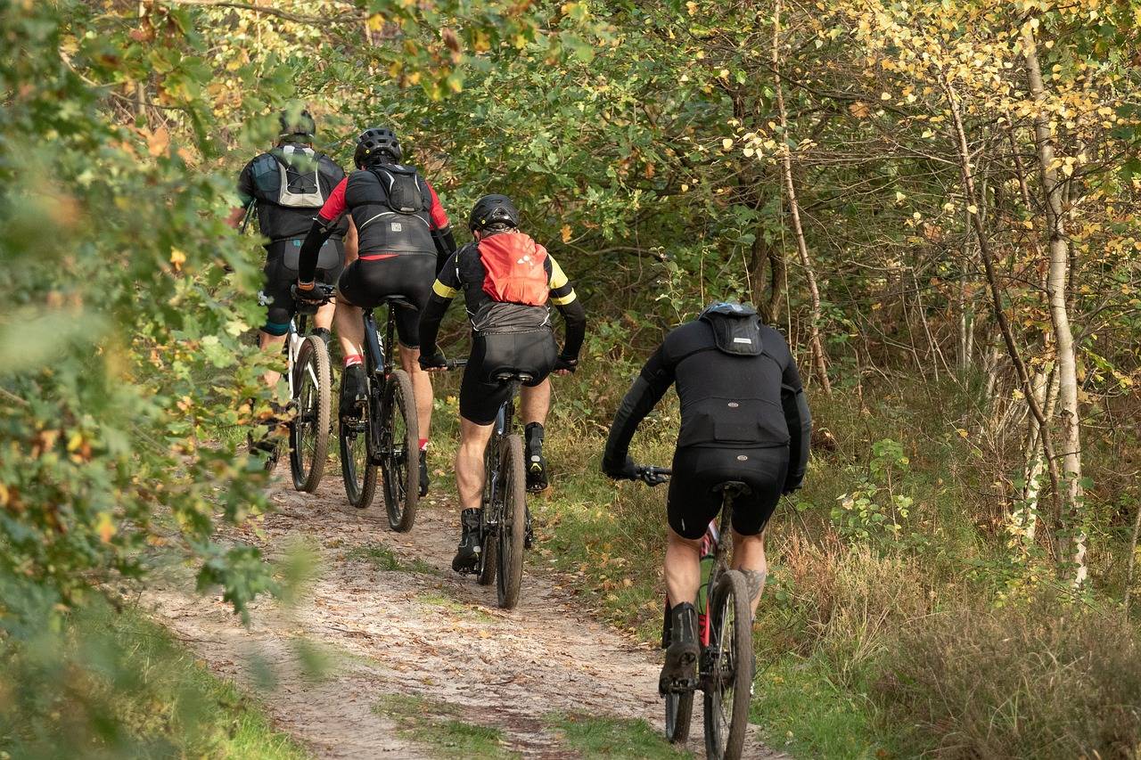 Breaking Down Health Disparities: Addressing Inequities in Healthcare Access