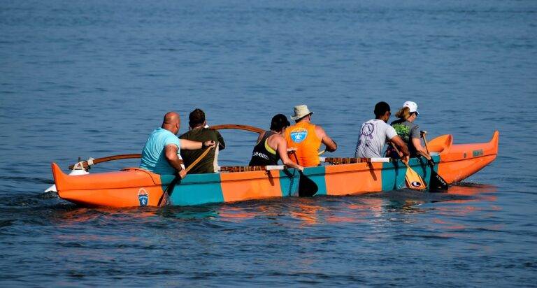 The Importance of IPL in Promoting Sportsmanship