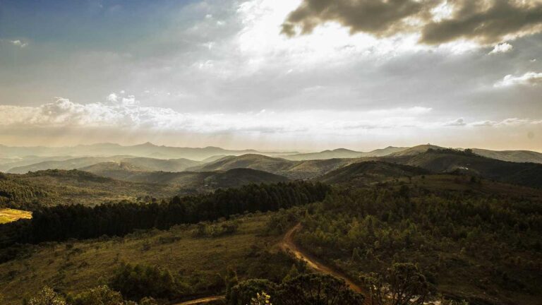 Where Can I Find 11Xplay Reddy Login Download File?