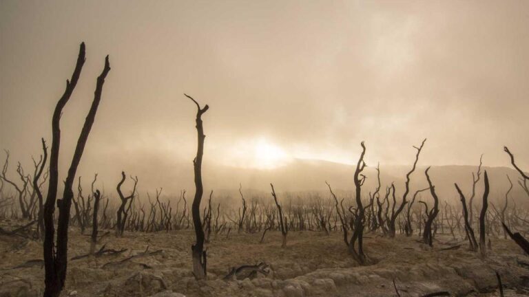 How Can Users Change Their 99Exch In Login Password?